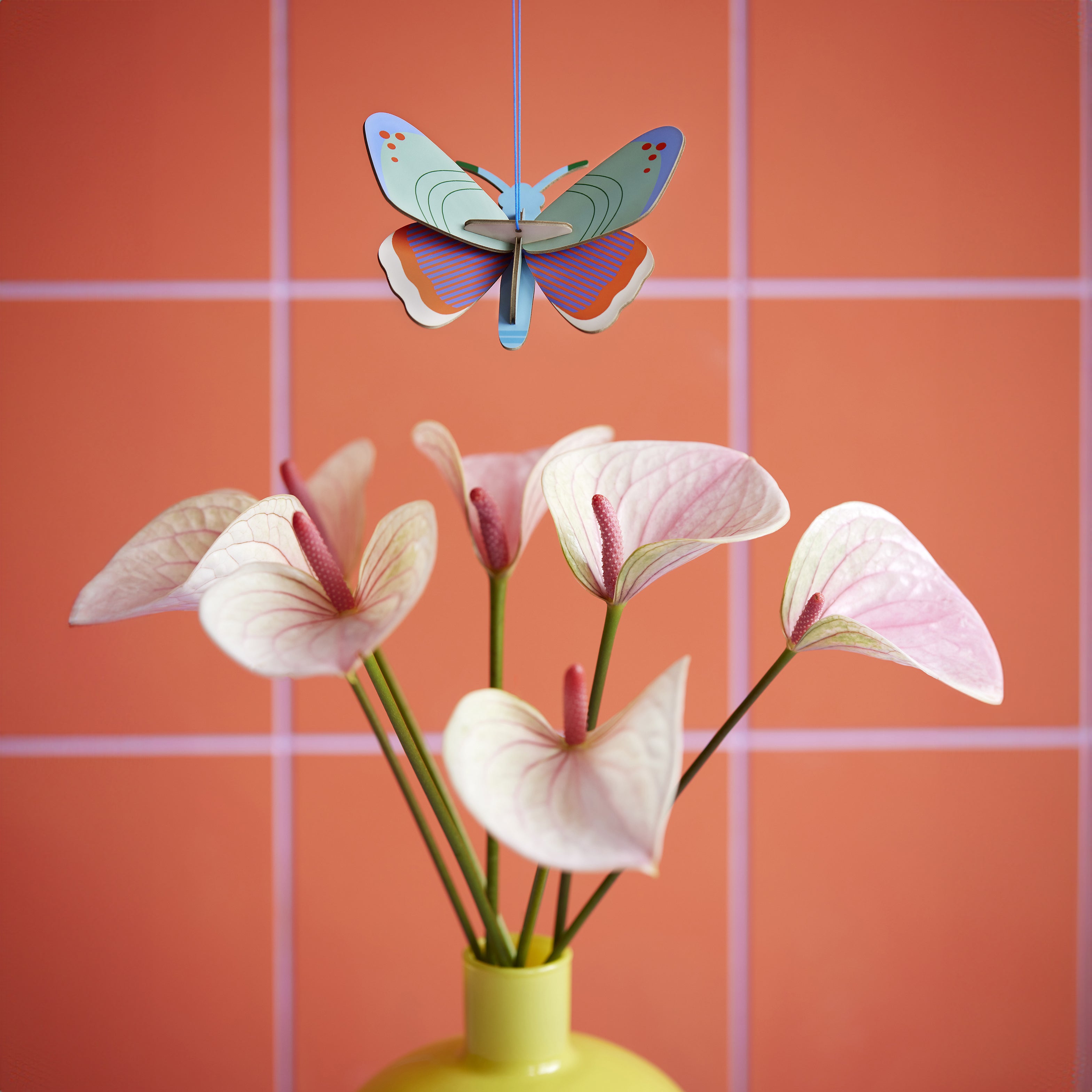 Lucky Charm Schmetterling