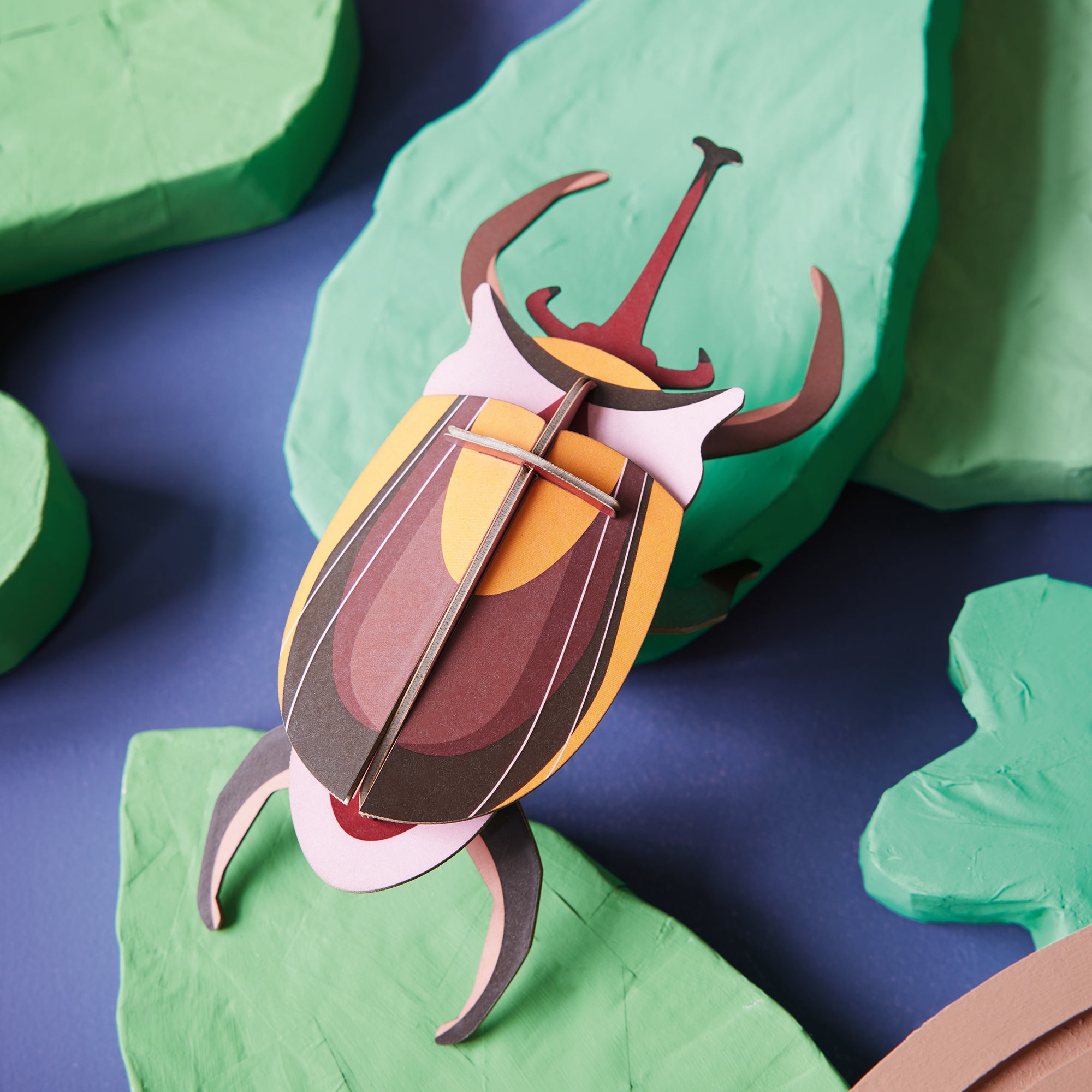 Elephant Beetle