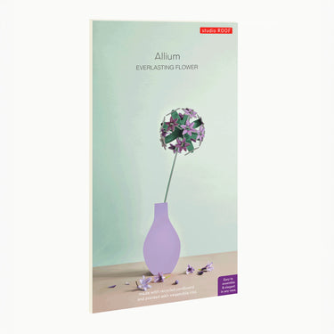 Allium