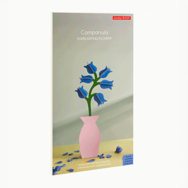 Campanula