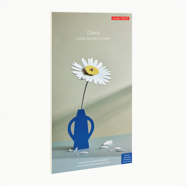 Daisy