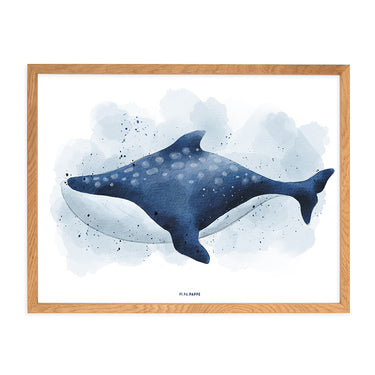 Poster Blauwal