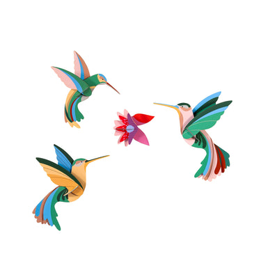 Dance of the Hummingbirds