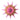 Großer Papierstern, Equinox Rosy