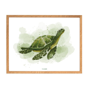 Poster Schildkröte